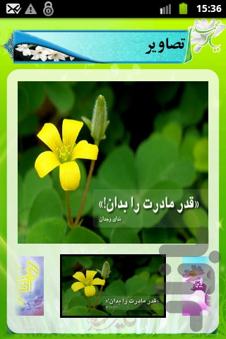 یاس محمدی